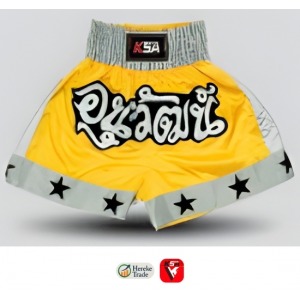 MMA & Boxing Shorts 1912