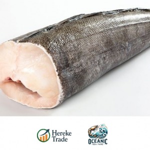 Frozen Hake (Headless & Gutted)