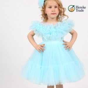 Girl's Blue Tulle Dress