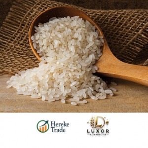 White Rice
