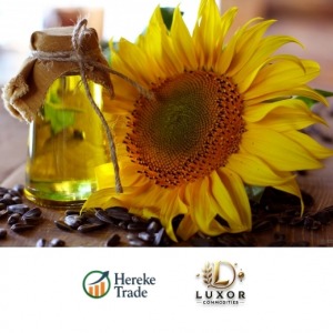 Sunflower Oil