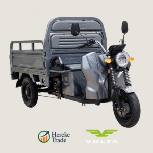 VT5 Electric Three-Wheeled Motorcycle Gray