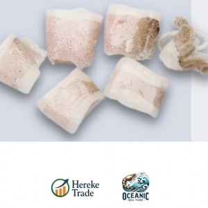 Chopped Patagonian Squid