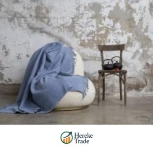 Light Blue Fringe Blanket