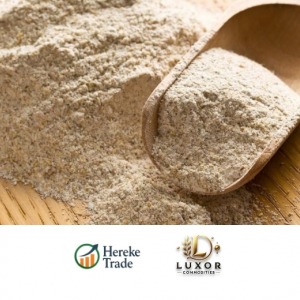 Wheat Flour