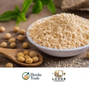 Soybean Flour