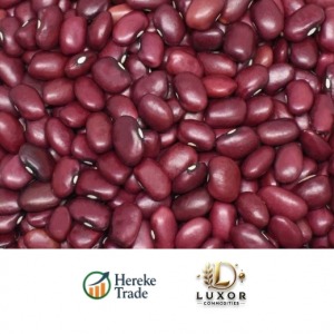Dark Red Kidney Beans
