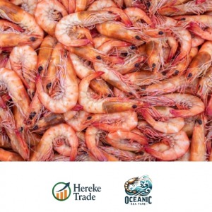 Southern Shrimp Tails & Shells