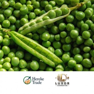 Green Peas