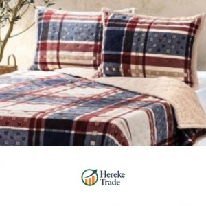 Plaid Blanket & Pillow Set