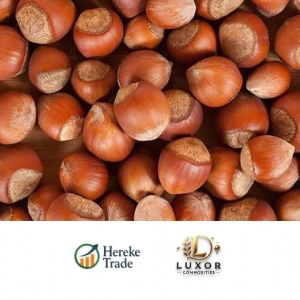 In-Shell Hazelnuts