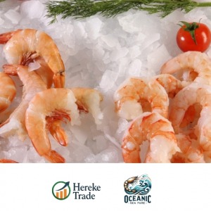 Peeled Shrimp Tails