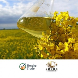Biodiesel Oils