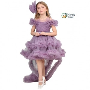 Purple Majesty Dress