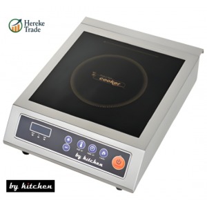 Induction Cooker