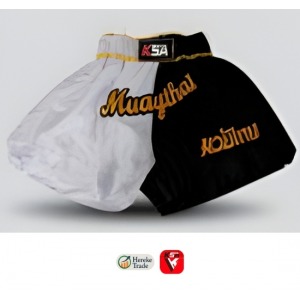 MMA & Boxing Shorts 1908