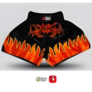 MMA & Boxing Shorts 1909