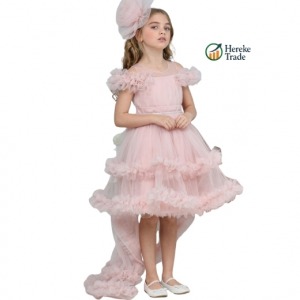 Dusty Rose Delight Dress